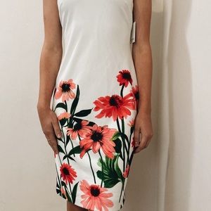 NWT CALVIN KLEIN DRESS